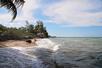 Belizean Beach