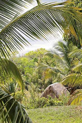 Belizean Village Community