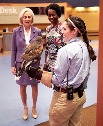 As guests arrived at the Living World center, they were greeted by Zoo staff with a Harris’ Hawk.