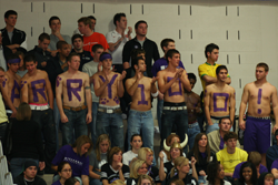 Why do Bearcat Fans Wear Purple?