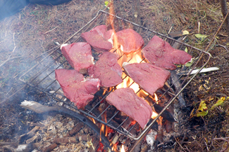 Photo of Moose Steaks