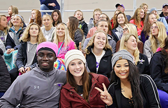 McKendree students enjoy hockey game.