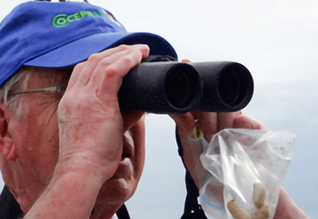 Ornithologist Ted Anderson searching diligently but unsuccessfully for the endangered but elusive Florida Scrub Jay. Photo taken in Venice, Fla.