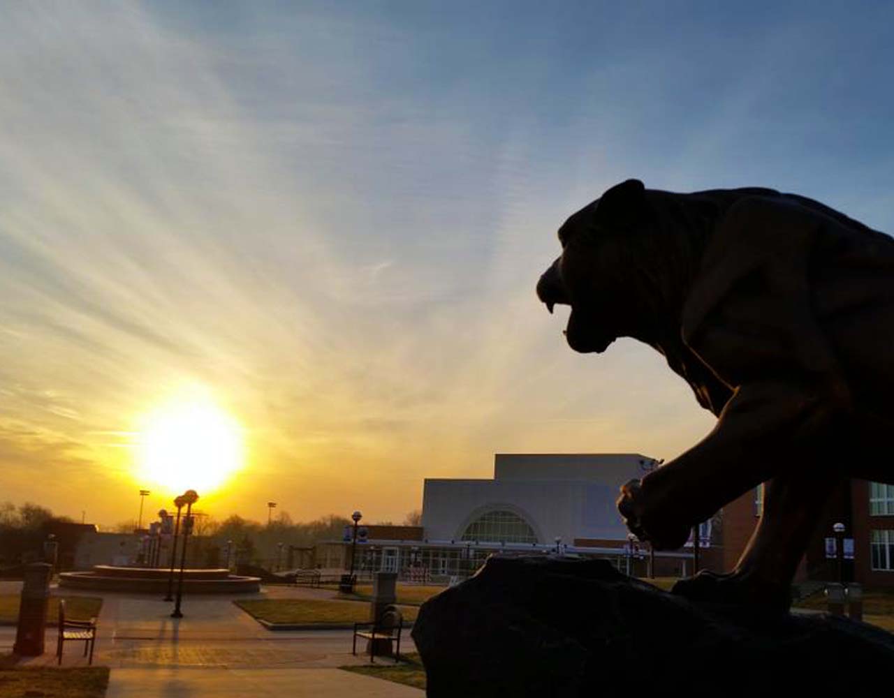 Bearcat at Sunrise