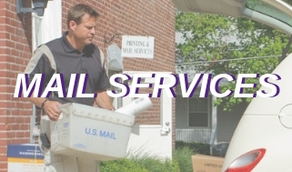 Information on Mail Services